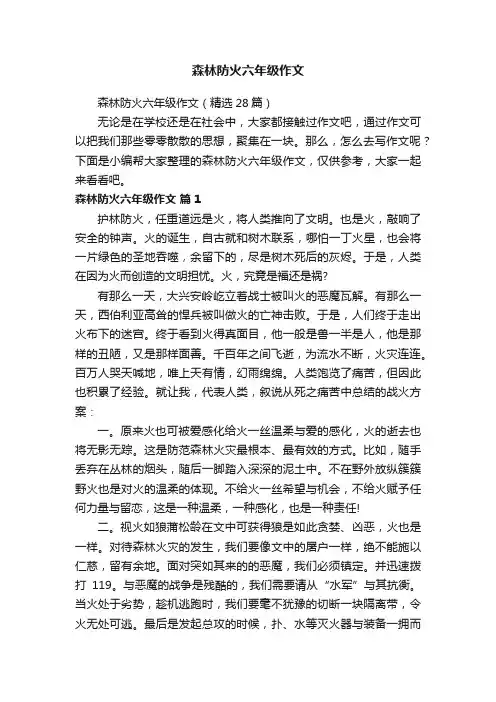 森林防火六年级作文（精选28篇）