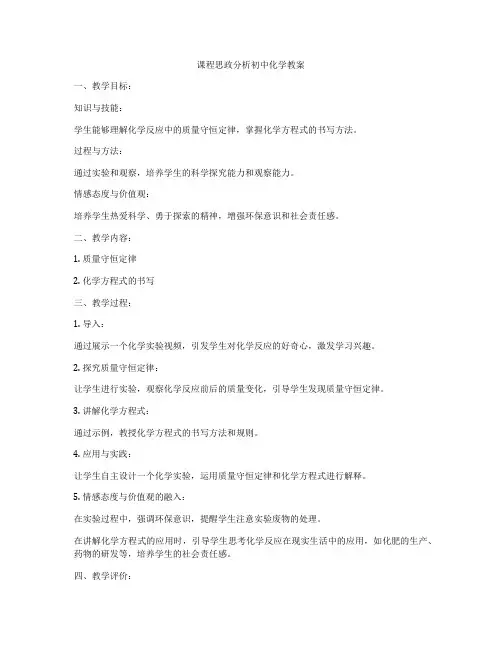 课程思政分析初中化学教案