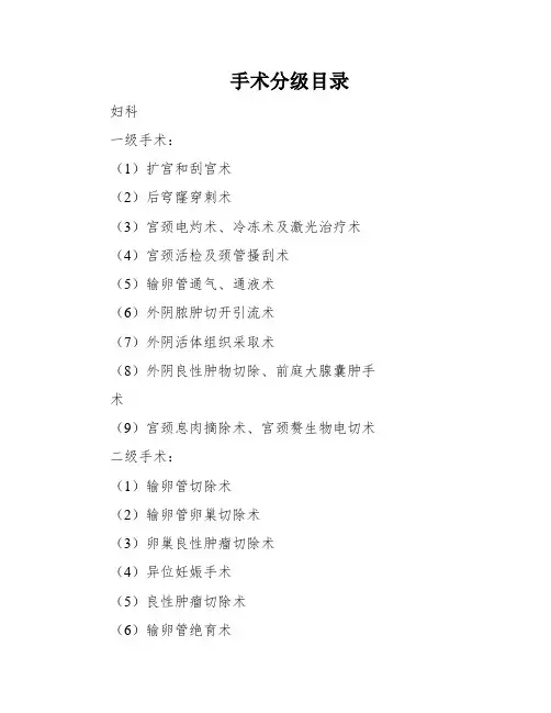 手术分级目录
