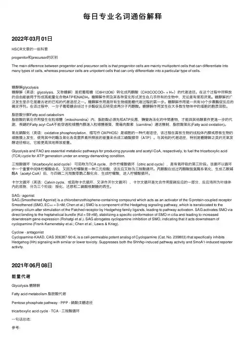 每日专业名词通俗解释