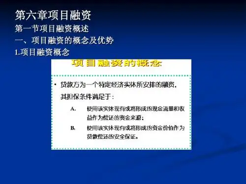 第六章项目融资