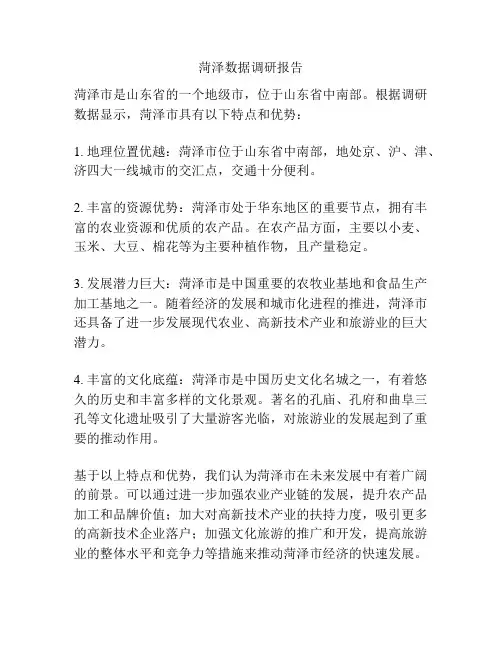 菏泽数据调研报告