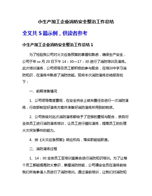 小生产加工企业消防安全整治工作总结