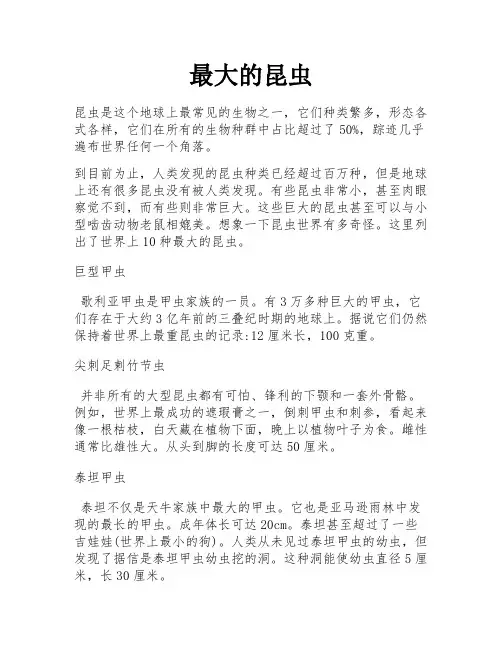 最大的昆虫