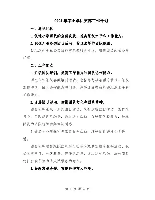 2024年某小学团支部工作计划