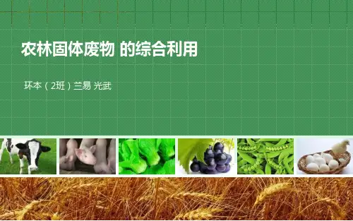 农林废弃物的综合利用
