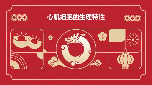 心肌细胞的生理特性