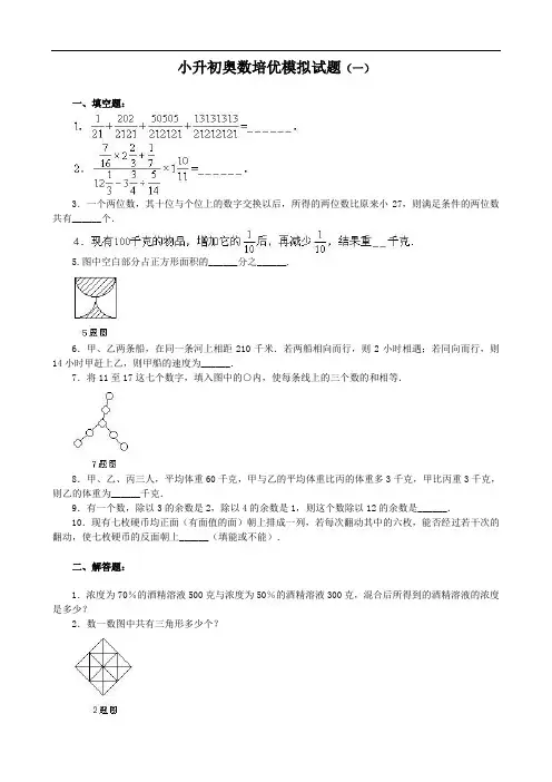 小升初六年级数学奥数培优模拟试题及答案(5份)暑假寒假作业辅导