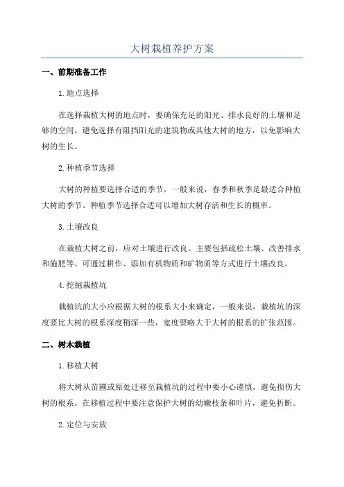 大树栽植养护方案