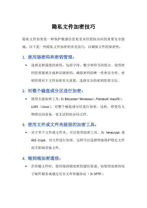 隐私文件加密技巧