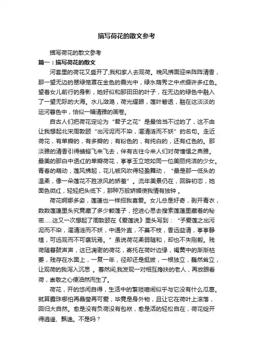 描写荷花的散文参考