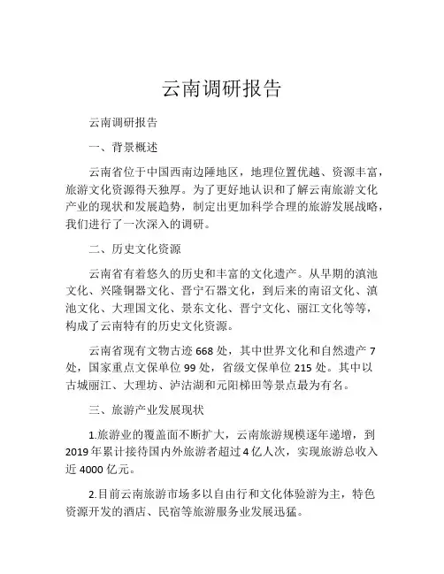 云南调研报告