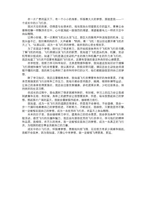 成长中的小飞行员