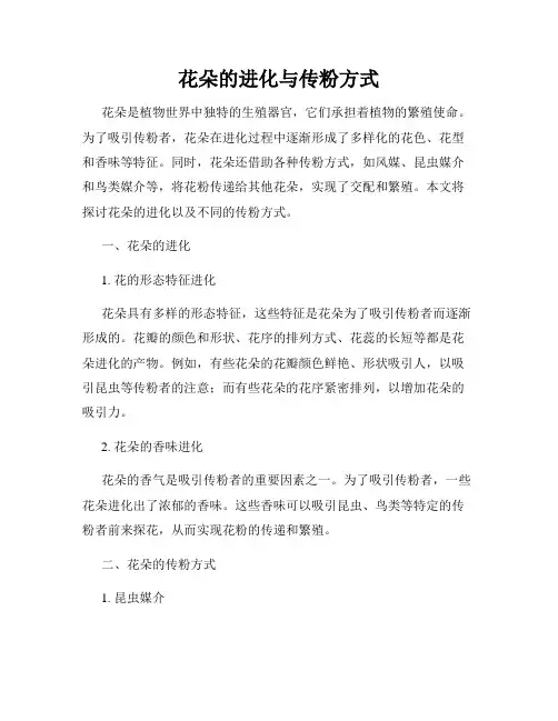 花朵的进化与传粉方式