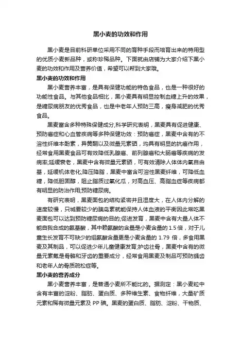 黑小麦的功效和作用