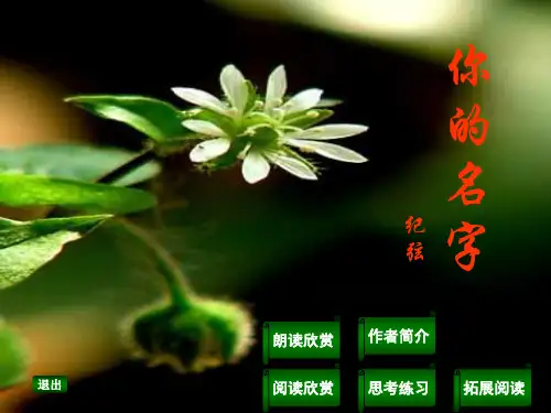 纪弦《你的名字》现代诗赏析(人教版选修)