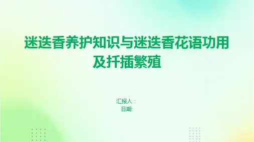 迷迭香养护知识与迷迭香花语功用及扦插繁殖