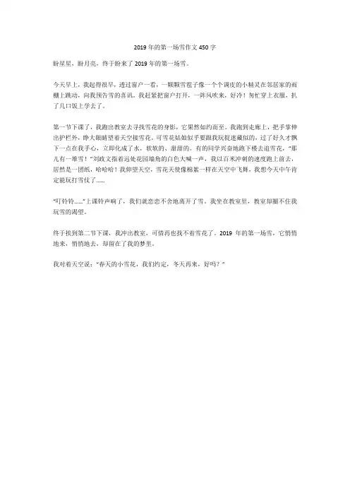 2019年的第一场雪作文450字高分作文