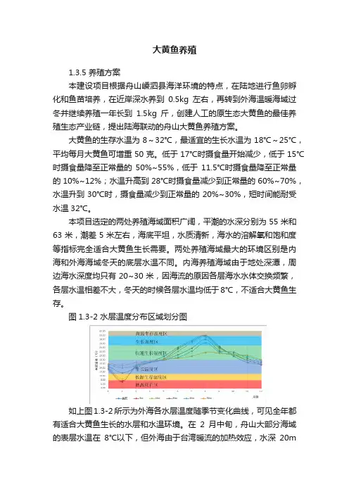 大黄鱼养殖