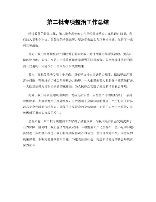 第二批专项整治工作总结