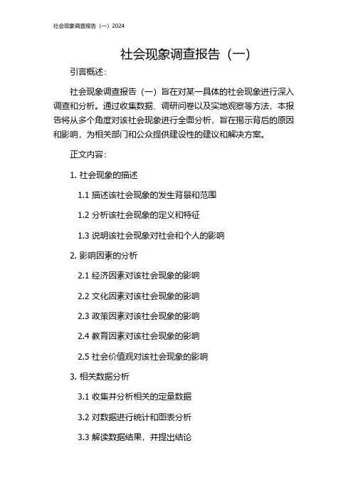社会现象调查报告(一)2024