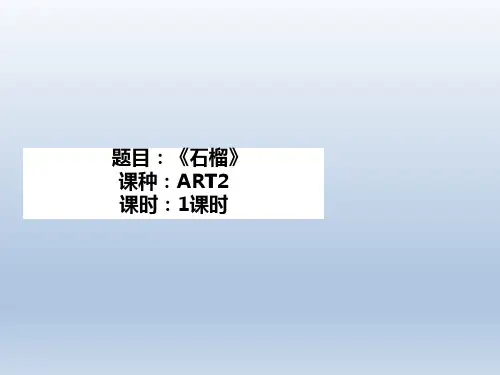 儿童美术绘画课件PPTART2《石榴》