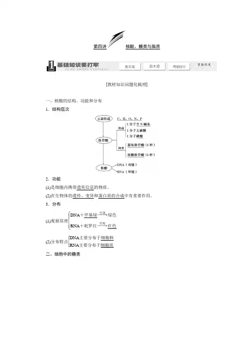 高三人教版生物一轮教师用书 必修1 第1单元 第4讲 核酸、糖类与脂质