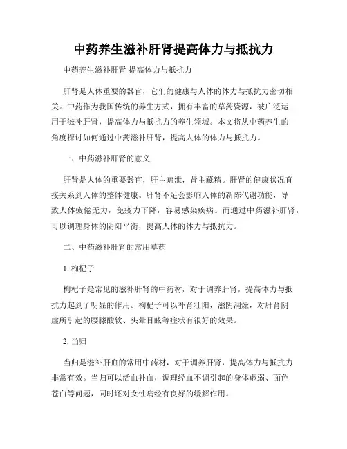 中药养生滋补肝肾提高体力与抵抗力