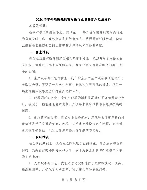 2024年市开展高耗能高污染行业自查自纠汇报材料