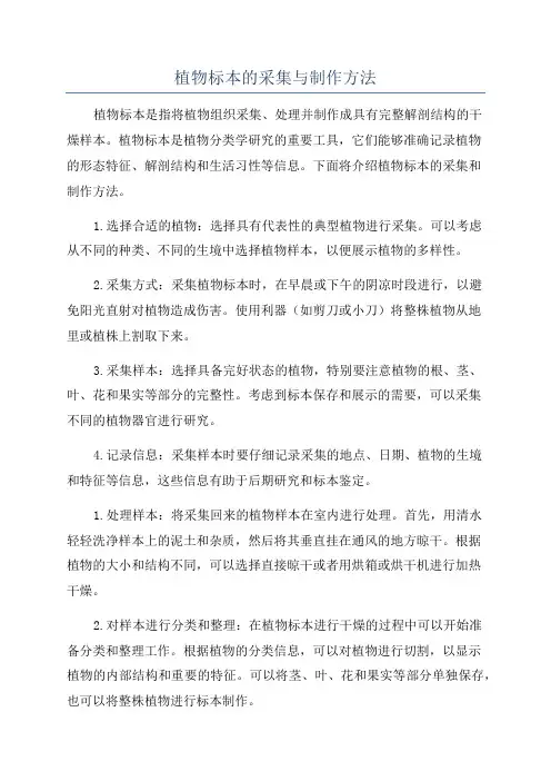 植物标本的采集与制作方法