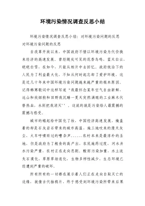 环境污染情况调查反思小结