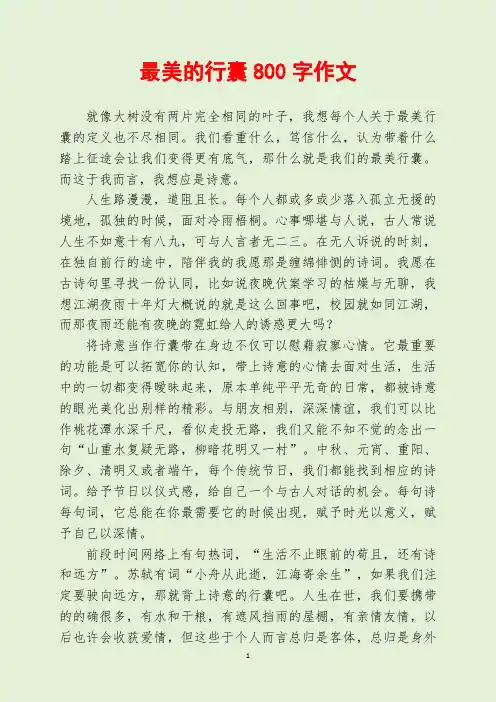 最美的行囊800字作文
