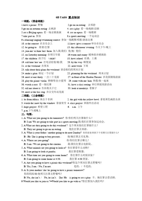 江苏牛津译林版 6B Unit6 重点知识的归纳