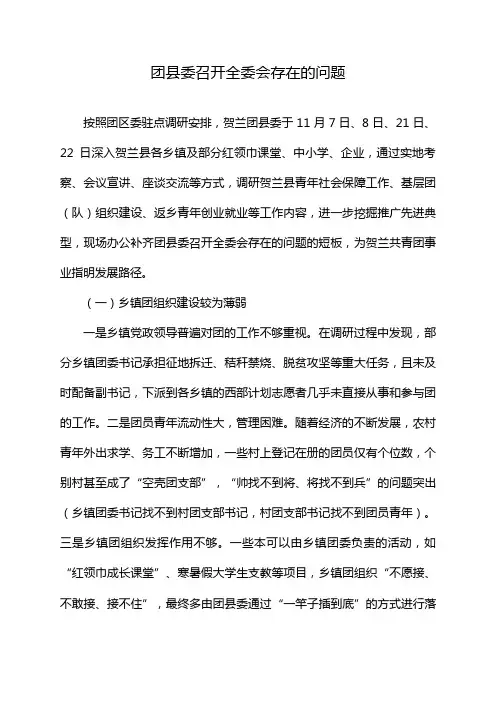 团县委召开全委会存在的问题