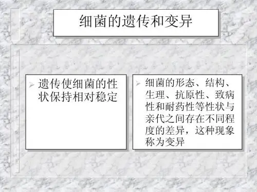 细菌的遗传和变异PPT课件