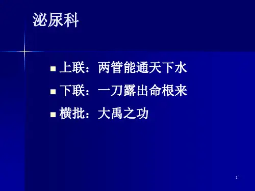泌尿系疾病护理ppt课件