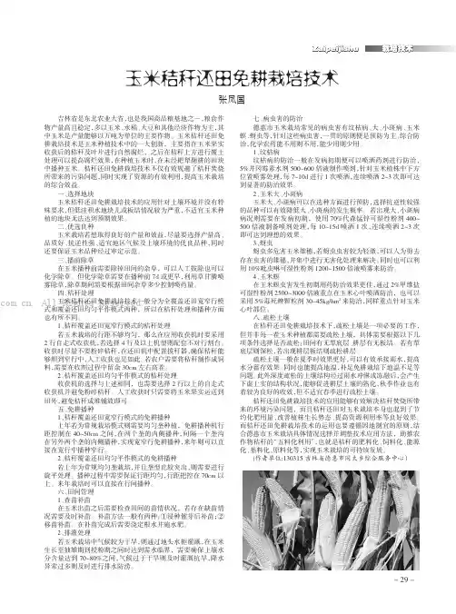 玉米秸秆还田免耕栽培技术