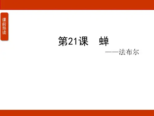 《蝉》ppt课件