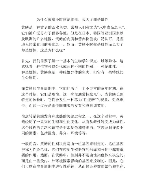 为什么黄鳝小时候是雌性,长大了却是雄性