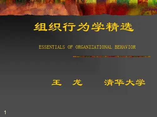 清华大学MBA组织行为学精选PPT演示文稿