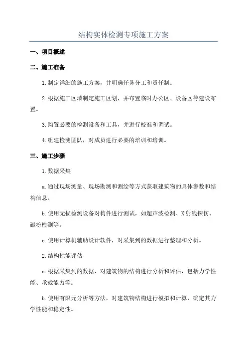 结构实体检测专项施工方案