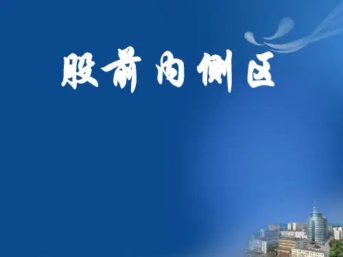 局部解剖学股前内侧区