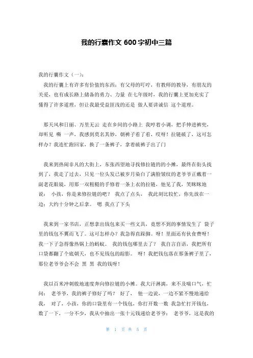 我的行囊作文600字初中三篇