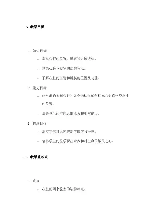 《心脏解剖教案》