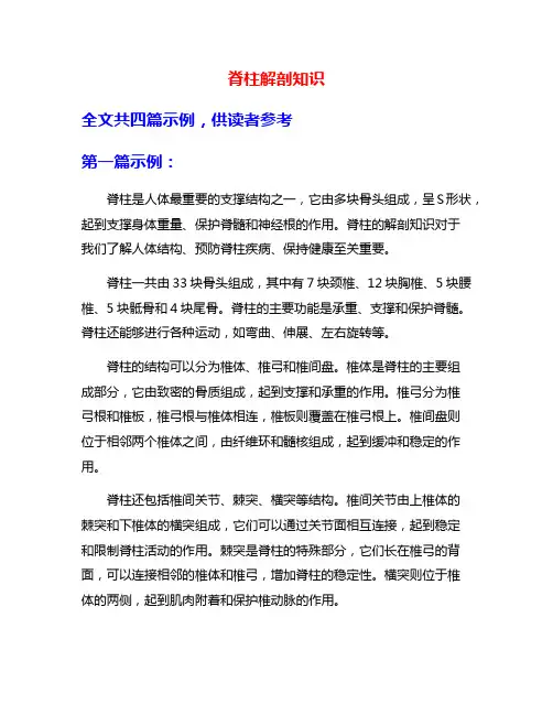 脊柱解剖知识