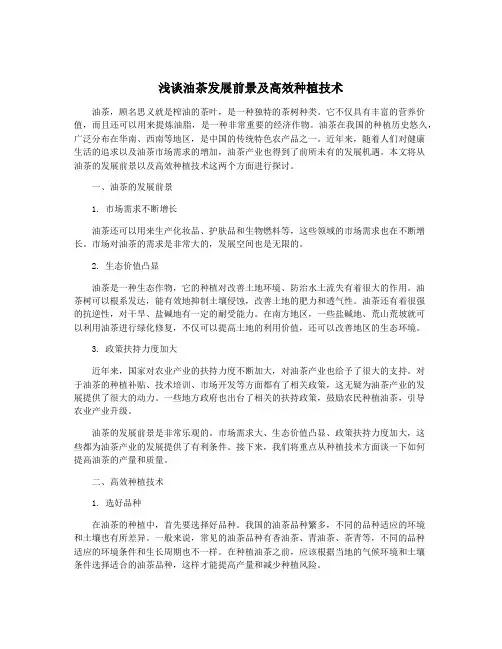 浅谈油茶发展前景及高效种植技术
