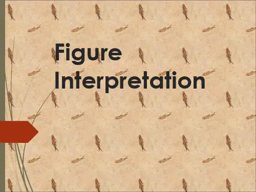 数字类英语口译翻译训练与技巧Figure Interpretation