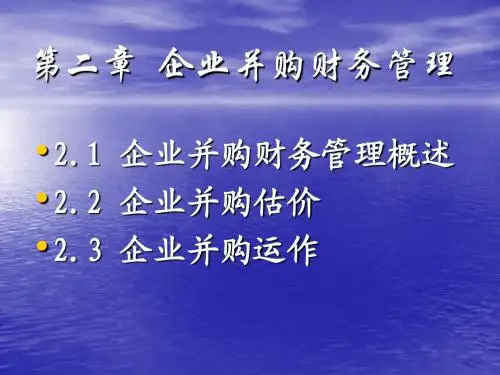 高级财务管理第二章