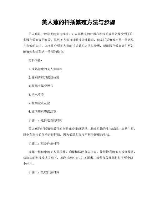 美人蕉的扦插繁殖方法与步骤