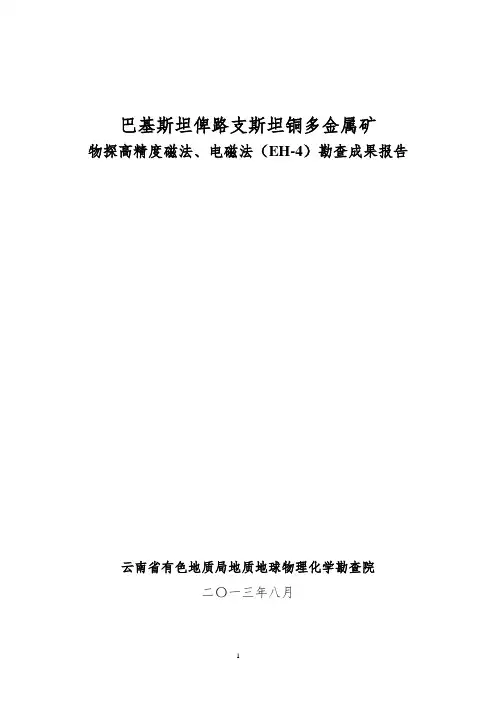 巴基斯坦中国大型铜矿磁法报告